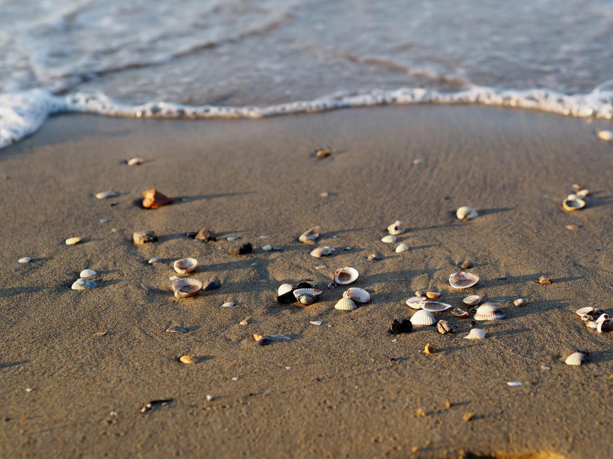 Cozy Villa 250 Metres From The Beach - Beahost - Bibione Buitenkant foto